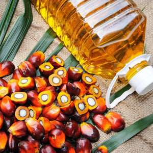 Palm Kernel oil